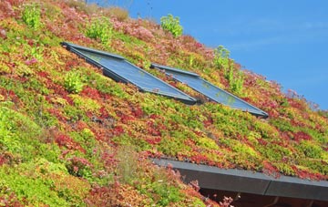 Giggleswick living roof systems